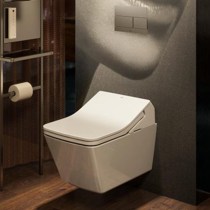 Wall Hung Toilet